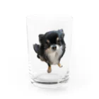 ちわわのりんちゃんのちわわのりんちゃん Water Glass :front