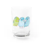 aoamo shopのaoamoマメルリハ Water Glass :front