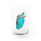 森図鑑の[森図鑑] サザナミインコ水色 Water Glass :front