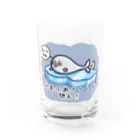 ひよこ男爵とまだむにゃんのごまふあざらにゃん Water Glass :front