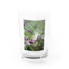 ayak_a_kayaのみつばち🐝 Water Glass :front