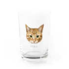 みきぞーん｜保護猫 ミッキー画伯と肉球とおともだちのmau Water Glass :front