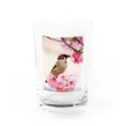 Toritorizmの桜スズメ Water Glass :front