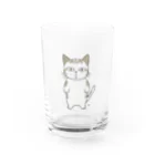 あけびの無愛想なサバトラ猫くん Water Glass :front