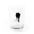 地下の猫 Water Glass :front