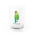 j8ie de vivre♪のコザクラインコ　タイガーチェリー Water Glass :front