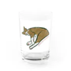 greencat_collectionのお昼寝ねこ Water Glass :front