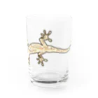 LalaHangeulのJapanese gecko(ニホンヤモリ)　英語デザイン Water Glass :front
