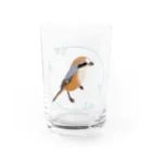 やちよ｜リアル鳥イラストのモズさん Water Glass :front