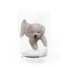 うちの犬のグッズの幸せそうな顔のいぬ Water Glass :front