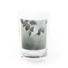 mothofthesunの白椿 Water Glass :front