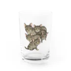 縁-yukari-のキジトラ軍団 Water Glass :front