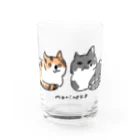 保護ねこカフェ もりねこのふたばちゃん&べべちゃん Water Glass :front