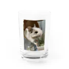 おまんぼさんのデグーのルークくん Water Glass :front