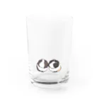 n_fderelicaのモルモットのごましおと伊達丸 Water Glass :front