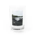 みちゅぱのハワイ島 ブラックビーチとウミガメ Water Glass :front