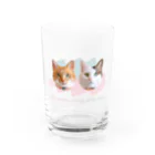 ナナちゃん・ポンちゃんのお店【SUZURI支店】のまんまるねこ Water Glass :front