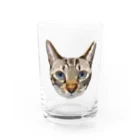 井上アフターバーナーのカイくん Water Glass :front