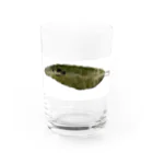 むすこたちのおみせのはっぱくん（長男） Water Glass :front