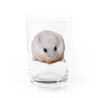 KETOPIKETOPISのうちのこハムスター Water Glass :front