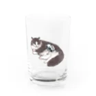 ばろうずのオブジェクト「猫」 Water Glass :front