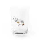 ふじおの沈みゆくふじお Water Glass :front