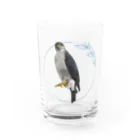やちよ｜リアル鳥イラストのオオタカさん グラス前面