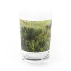 Noya___の春の草原　野花たち Water Glass :front