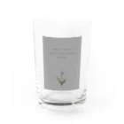 rilybiiのTULIP, white gray blue . Water Glass :front