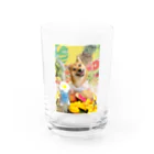 柴犬グッズ専門店 あられ堂の柴犬　真夏のリゾート001 Water Glass :front