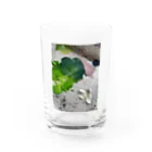 daretomo-kaburanaiiのだれともかぶらないブロッコリー Water Glass :front