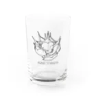 nrms0901のアガベ Water Glass :front