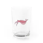 puikkoの古生物　アノマロカリス2 Water Glass :front