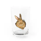 ヤマトの見守りらびくん Water Glass :front