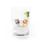 kumamia（くまみあ）のくまの3兄弟（マカロン） Water Glass :front