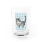 soraのノルウェージャンフォレストキャットのノエル Water Glass :front