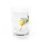 kumamia（くまみあ）のひょっこり！ふうせん（黄） Water Glass :front