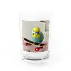 そらゆめインコのスケボーインコ Water Glass :front