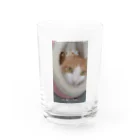 ももがいっぱいショップ　ネコのカメラ目線もも　ネコ Water Glass :front