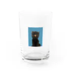 さくちゃんカンパニーのさくちゃんの証明写真 Water Glass :front