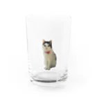 𝙈𝙊𝙈𝙊'𝙨 𝙎𝙝𝙤𝙥のまる子 Water Glass :front