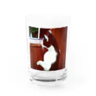 天光のねこ部屋の窓際のプリンちゃん Water Glass :front