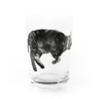 アメショーのひめちゃんのアメショーのひめちゃん⑥ Water Glass :front