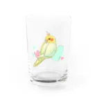 らる_haruの見返りオカメインコ Water Glass :front