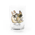 BULL HAWAII mihoデザイのフレブルmaruoto Water Glass :front