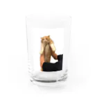 コロたんの持ち上げられてるコロたん Water Glass :front