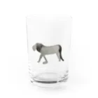 mi4179のLION Water Glass :front