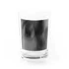 Dec-Affe-Inated RECORDSのスイサイダル補助金 Water Glass :front