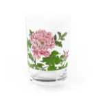 JapaneseArt Yui Shopの牡丹 Water Glass :front