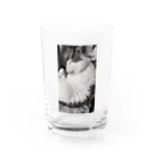 KAZU SHOPの可愛い猫のお昼寝　癒し Water Glass :front